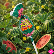 Blow Pops What-A-Melon Görögdinnyés Nyalóka Rágógumi Középpel 18 g